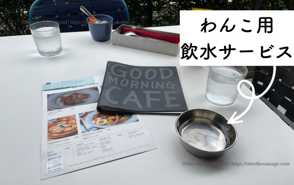 photo_Otter the Dachshund_hang out with dogs_犬旅ブログ_犬とお出かけブログ_Good Morning Cafe早稲田_ドッグフレンドリーカフェ_わんこ向けサービスの飲用水